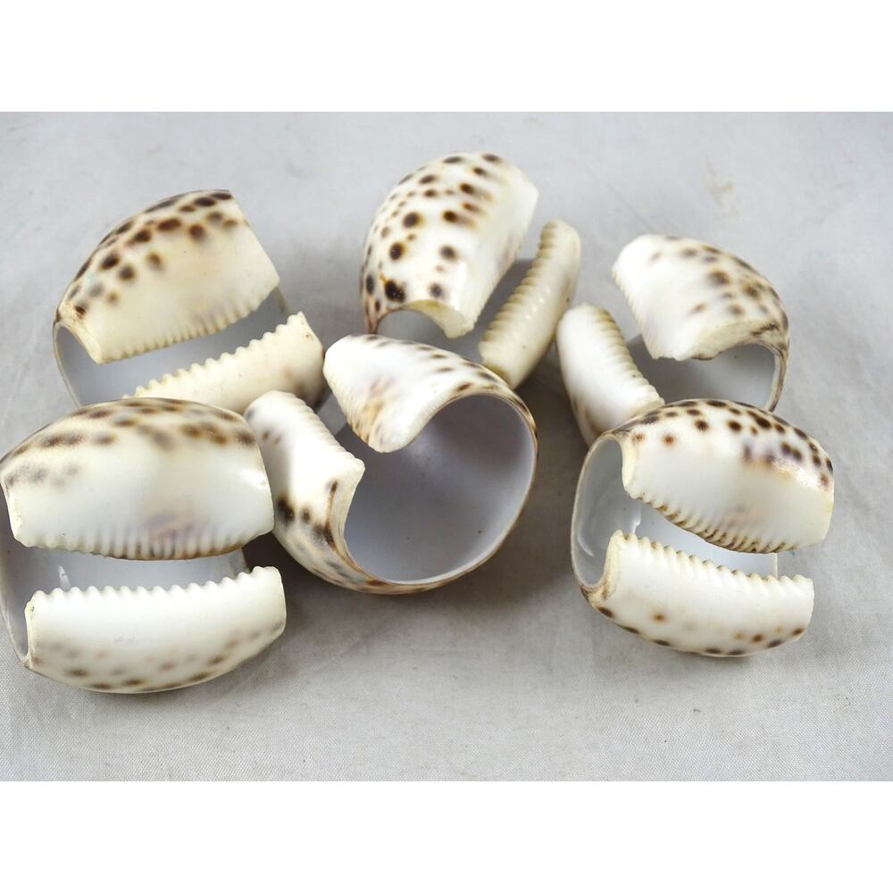 Vintage Tiger Cowrie Shell Napkin Rings Set of 6 Coastal Beach House Table Decor - Picture 4 of 5